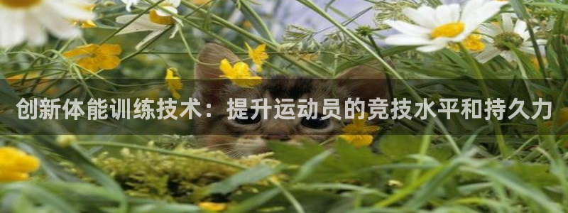 77体育