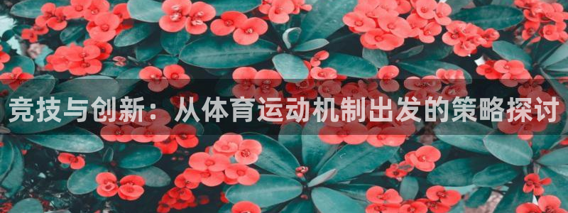 77体育
