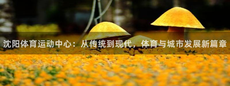皇冠277体育