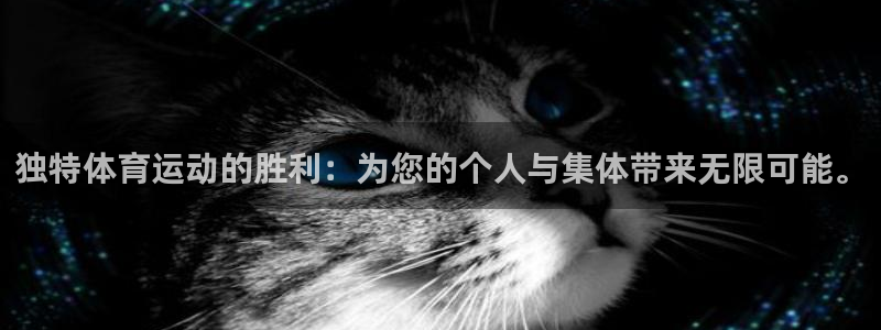 77体育官网