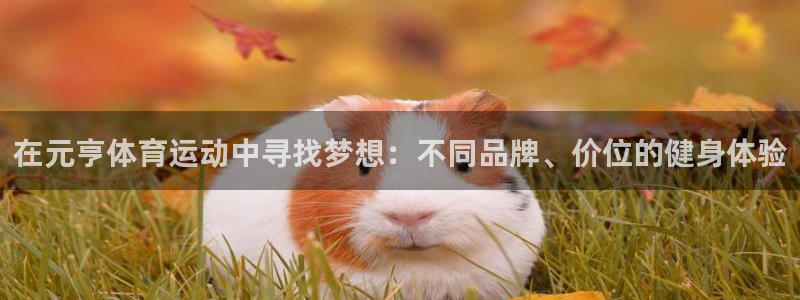 77体育官网