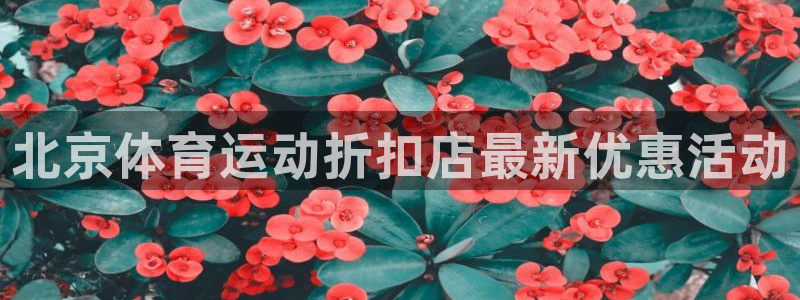 77体育app下载官网