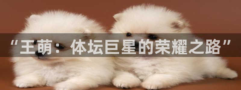 77体育官网