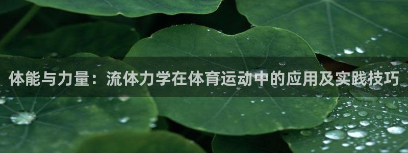 77体育官网
