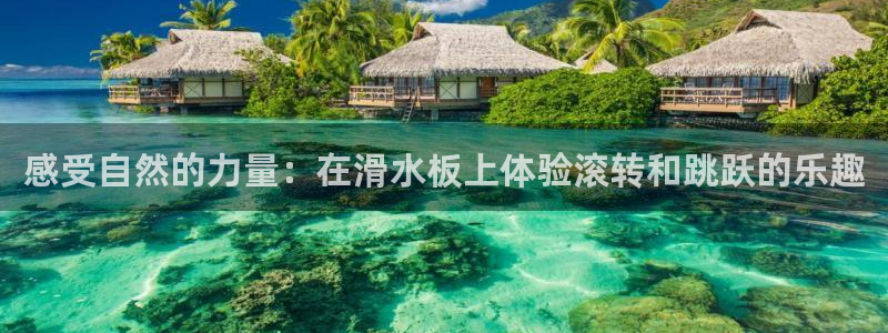 77体育app下载官网